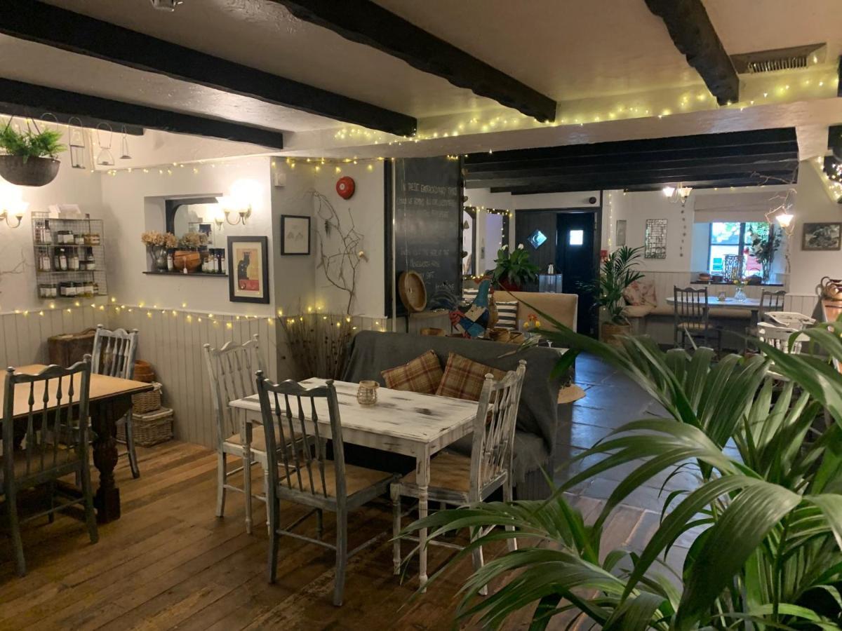 Molesworth Accommodation, Pyworthy, Devon Холсуърти Екстериор снимка