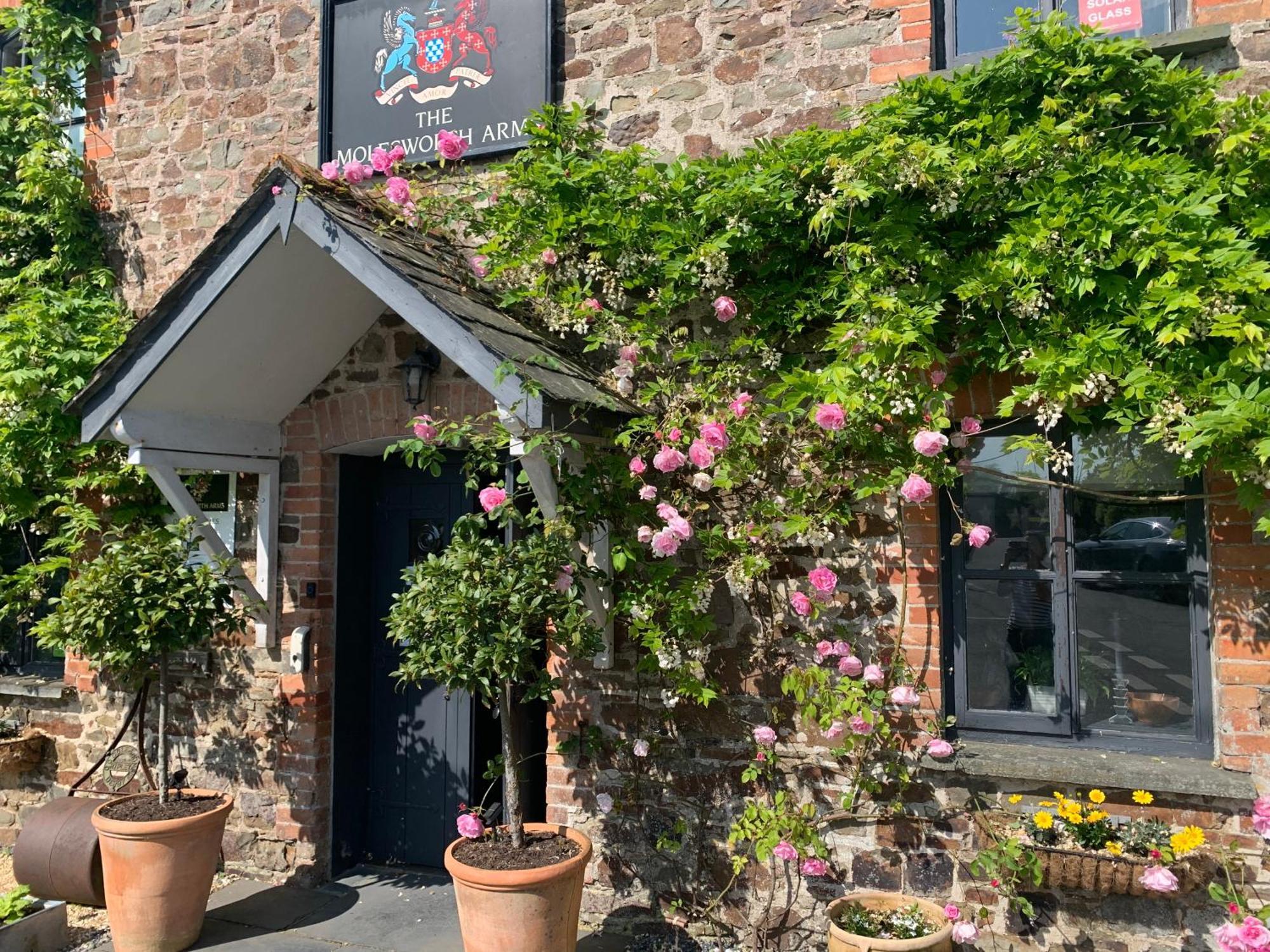 Molesworth Accommodation, Pyworthy, Devon Холсуърти Екстериор снимка