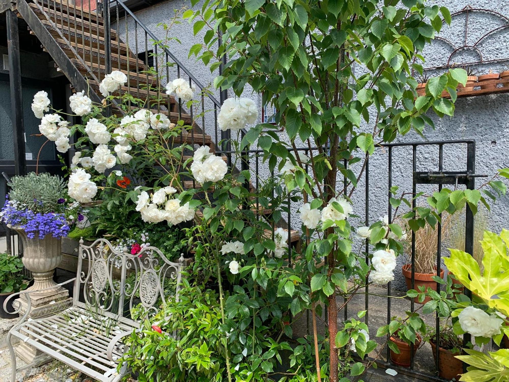 Molesworth Accommodation, Pyworthy, Devon Холсуърти Екстериор снимка